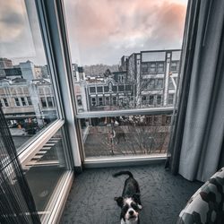 Aloft by Marriott Asheville Downtown