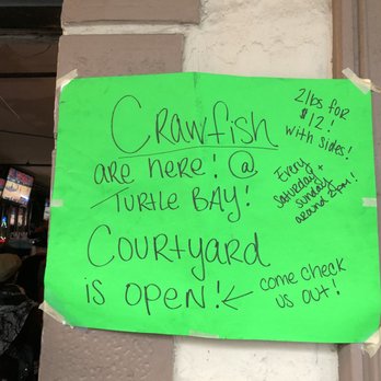 Turtle Bay - Weekend Special - Pizza Near Me - New Orleans, Louisiana