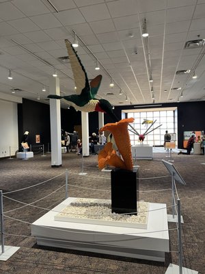 RMSC (Rochester Museum & Science Center) by null