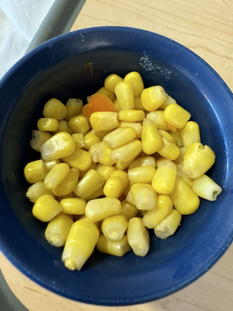 Holy Spirit Medical Center - patient advocate in Camp Hill, PA