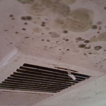 Breathe Easy Solutions - Damage Restoration Near Me Breathe Easy Solutions - Damage Restoration Near Me