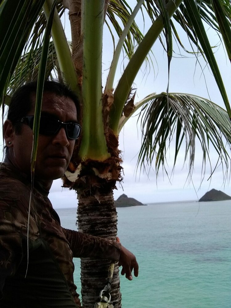 Trees of Aloha - tree service in Honolulu, HI