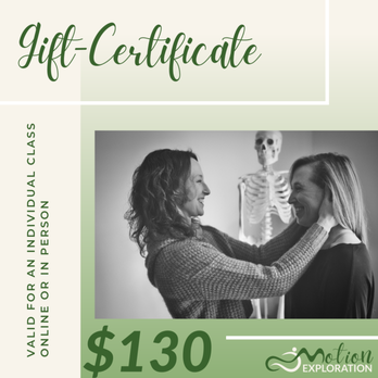 Motion Exploration - Gift Certificate with image of Christine offering Functional Integration to a student - Trainers Near Me Motion Exploration - Gift Certificate with image of Christine offering Functional Integration to a student - Trainers Near Me