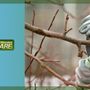 Photo of Cañada Tree Care