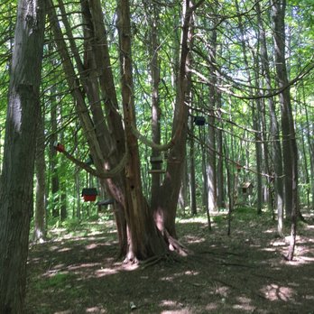 Mer Bleue bog - Bird houses galore! - Hiking Near Me - Ottawa, Ontario