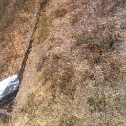 package throw over fence, clearly visible to be stolen package throw over fence, clearly visible to be stolen