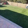 Photo of American Turf