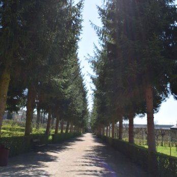 Hofgarten Veitshöchheim - Evergreen passage - Landmarks & Historical Buildings Near Me - Veitshöchheim, BY
