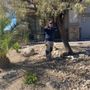 Photo of San Jose Flores Landscaping
