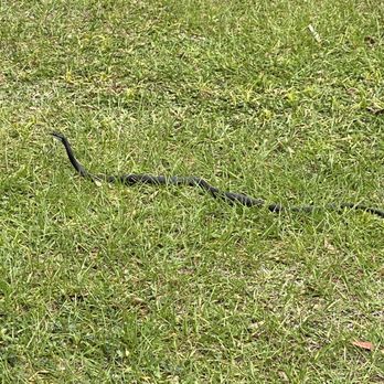 Gotha Park - Parks Near Me - Gotha, Florida