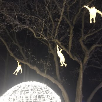 Zoolights - Monkeys at zoo lights! - Local Flavor Near Me - Chicago, Illinois