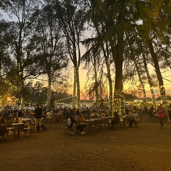 Lavender Nights - Lights - Festivals Near Me - Cherry Valley, California