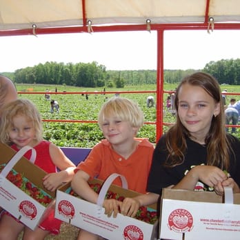 Chesterfield Berry Farm - Summertime fun for Adah, Anthony and Kira - Farmers Market Near Me - Moseley, Virginia Chesterfield Berry Farm - Summertime fun for Adah, Anthony and Kira - Farmers Market Near Me - Moseley, Virginia