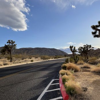 Joshua Tree National Park - Driving along the main road - Parks Near Me - Joshua Tree, California Joshua Tree National Park - Driving along the main road - Parks Near Me - Joshua Tree, California
