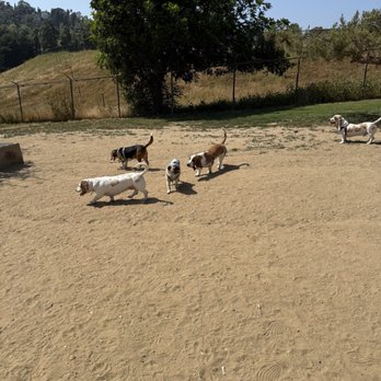 Silver Lake Dog Park - Dog Parks Near Me - Los Angeles, California