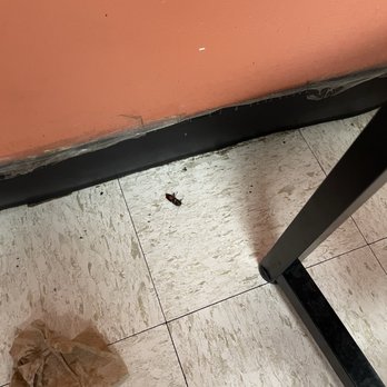 Charlies Bowl - Cockroach - Tex-Mex Near Me - Vienna , Virginia