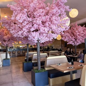 Chef JUN - Point Loma - Sushi Bars Near Me - San Diego, California Chef JUN - Point Loma - Sushi Bars Near Me - San Diego, California
