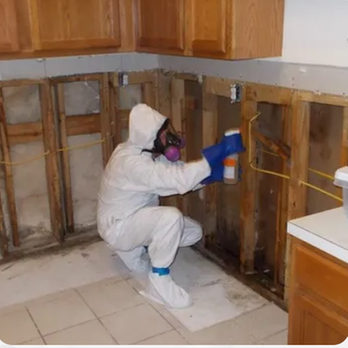 DryMaxx Ohio - untitled - Damage Restoration Near Me - Dayton, Ohio DryMaxx Ohio - untitled - Damage Restoration Near Me - Dayton, Ohio