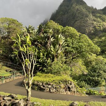 Stardust Hawaii - Path to the trail - Food Tours Near Me - Lahaina, Hawaii Stardust Hawaii - Path to the trail - Food Tours Near Me - Lahaina, Hawaii