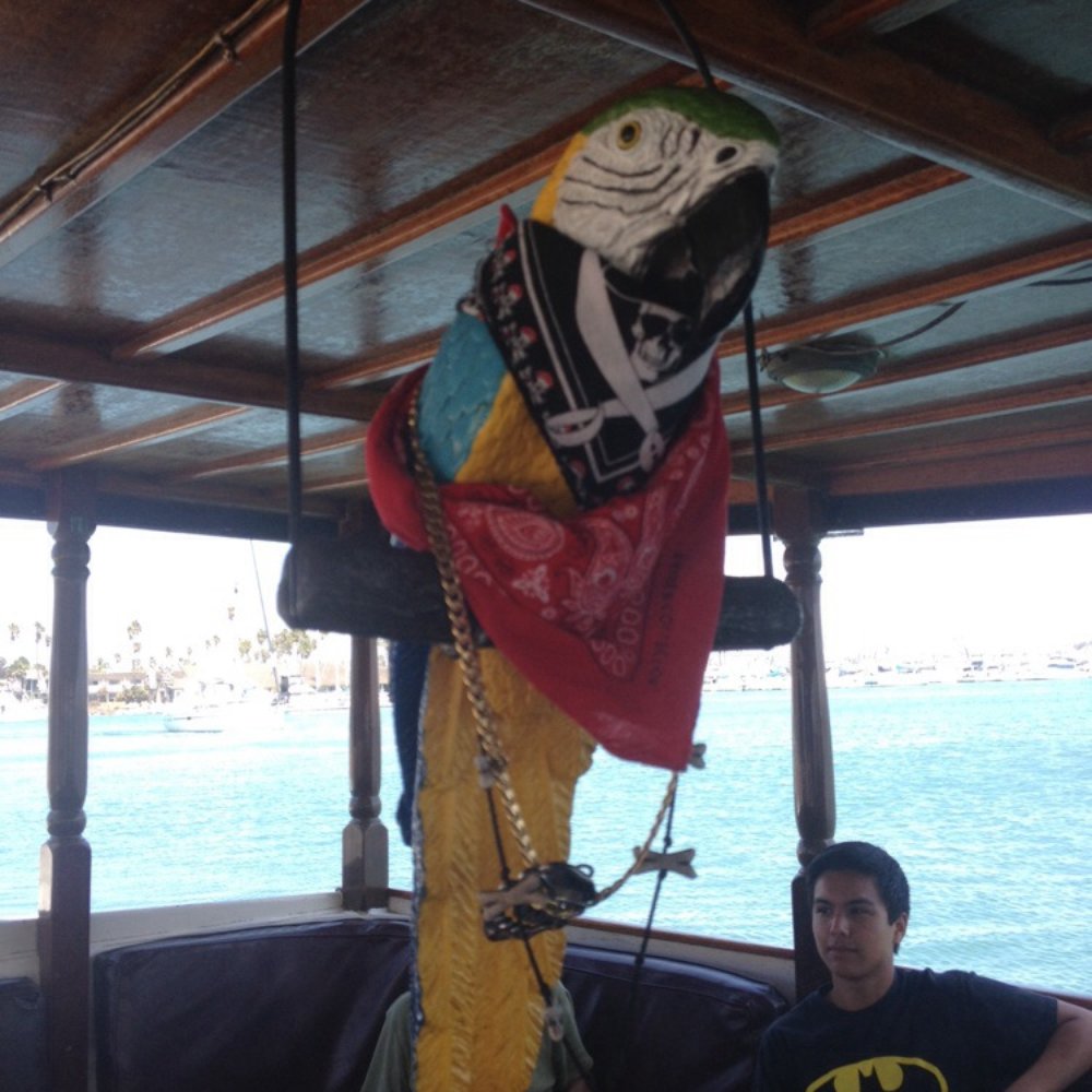 The Pirate Boat Ride - Parrot - Tours Near Me - Oxnard, California The Pirate Boat Ride - Parrot - Tours Near Me - Oxnard, California