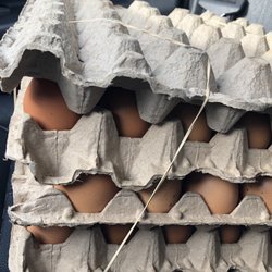 Eben-Haezer Poultry Ranch