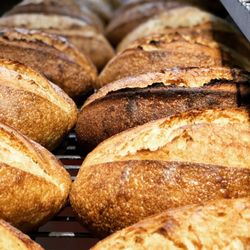 Brio Breadworks - Sourdough