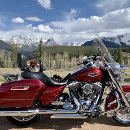 2016 Harley Davidson - Mount Rushmore Road King along the Million Dollar Hwy 550