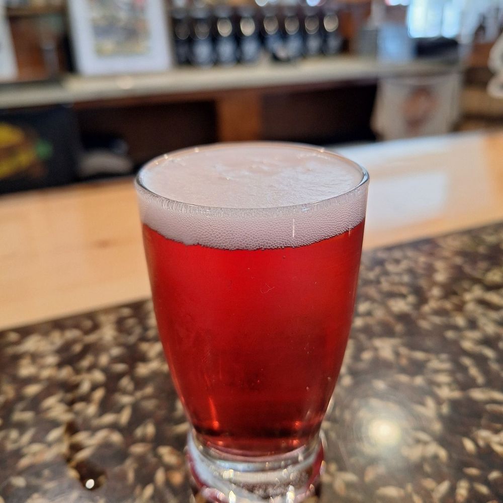 High Burl Brewery - 4 oz Blueberry Sour - Breweries Near Me - Burlington Flats, New York High Burl Brewery - 4 oz Blueberry Sour - Breweries Near Me - Burlington Flats, New York