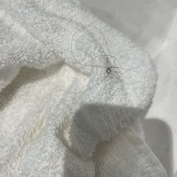 Tru by Hilton Bowling Green - Hair on towel - Hotels Near Me - Bowling Green, Kentucky