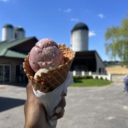 Lapp Valley Farms