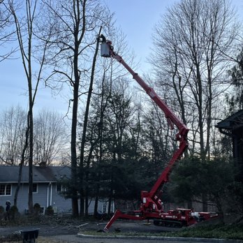 Xplus Tree Service - 24/7 Emergency service. - Tree Services Near Me Xplus Tree Service - 24/7 Emergency service. - Tree Services Near Me