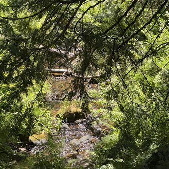Yosemite Mountain Sugar Pine Railroad - Tours Near Me - Fish Camp, California