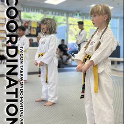 Taigon Taekwondo Martial Arts