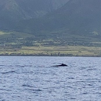 Makai Adventures - Boat Charters Near Me - Lahaina, Hawaii