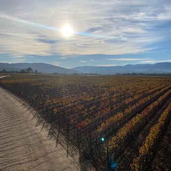 Uncorked Tours - Wine Tours Near Me - Temecula, California Uncorked Tours - Wine Tours Near Me - Temecula, California