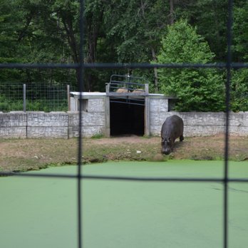 DeYoung Family Zoo - Zoos Near Me - Wallace, Michigan DeYoung Family Zoo - Zoos Near Me - Wallace, Michigan
