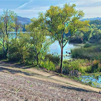 Spring Lake Regional Park - Spring Lake Regional Park - Parks Near Me - Santa Rosa, California Spring Lake Regional Park - Spring Lake Regional Park - Parks Near Me - Santa Rosa, California