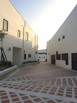 Taijiang National Park by null