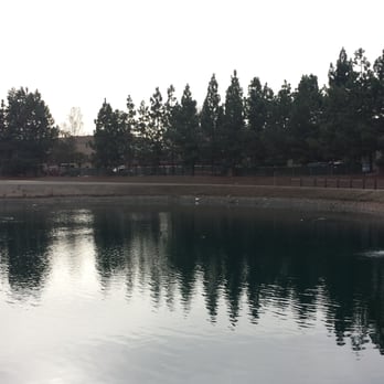 Upper Guadalupe River Trail - Guadalupe Percolation Ponds - Hiking Near Me - San Jose, California