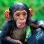 Photo of Kevin Maltes