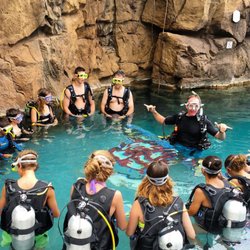 Dive Wailea - Introductory & Certified dives available