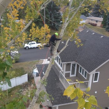 Arbor Man Tree Care - Tree Services Near Me - Edmonton, Alberta