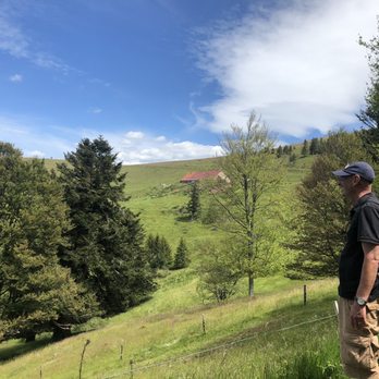 Ferme Auberge Rothenbrunnen - The view as you approach from the trail. - Bed & Breakfast Near Me - Sondernach, 68 Ferme Auberge Rothenbrunnen - The view as you approach from the trail. - Bed & Breakfast Near Me - Sondernach, 68