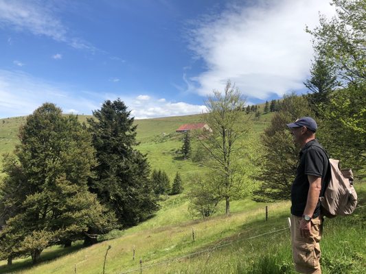 Ferme Auberge Rothenbrunnen by null