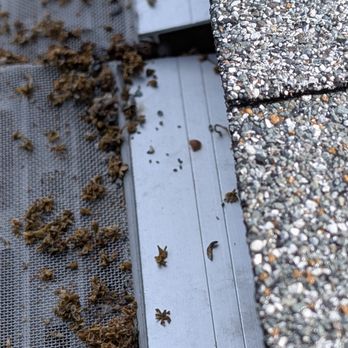 Pure Gutter Solutions - Gutter Services Near Me - Jackson, Michigan Pure Gutter Solutions - Gutter Services Near Me - Jackson, Michigan