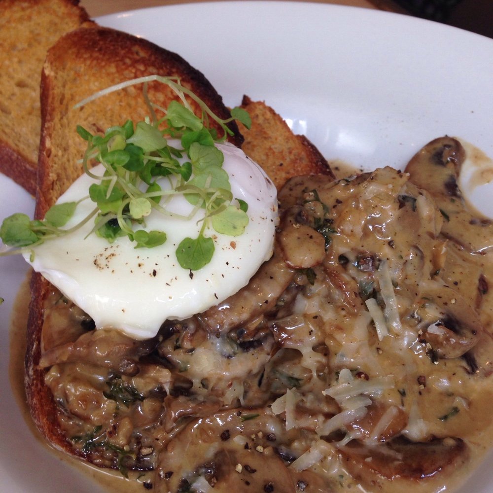 Albert Park Cafe - The amazing mushrooms on toast. Just do it. - Cafes Near Me - Auckland, AUK