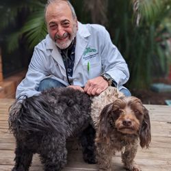 MyCannabis Clinic