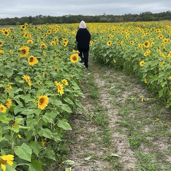 Hunsader Farms - Farms Near Me - Bradenton, Florida