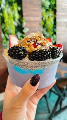 Amazonia Bowl by null