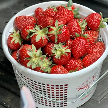 Rudd Farm - Farmers Market Near Me - Greensboro, North Carolina Rudd Farm - Farmers Market Near Me - Greensboro, North Carolina